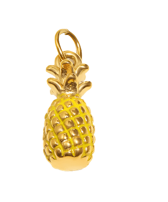 Ananas - Clout Vienna