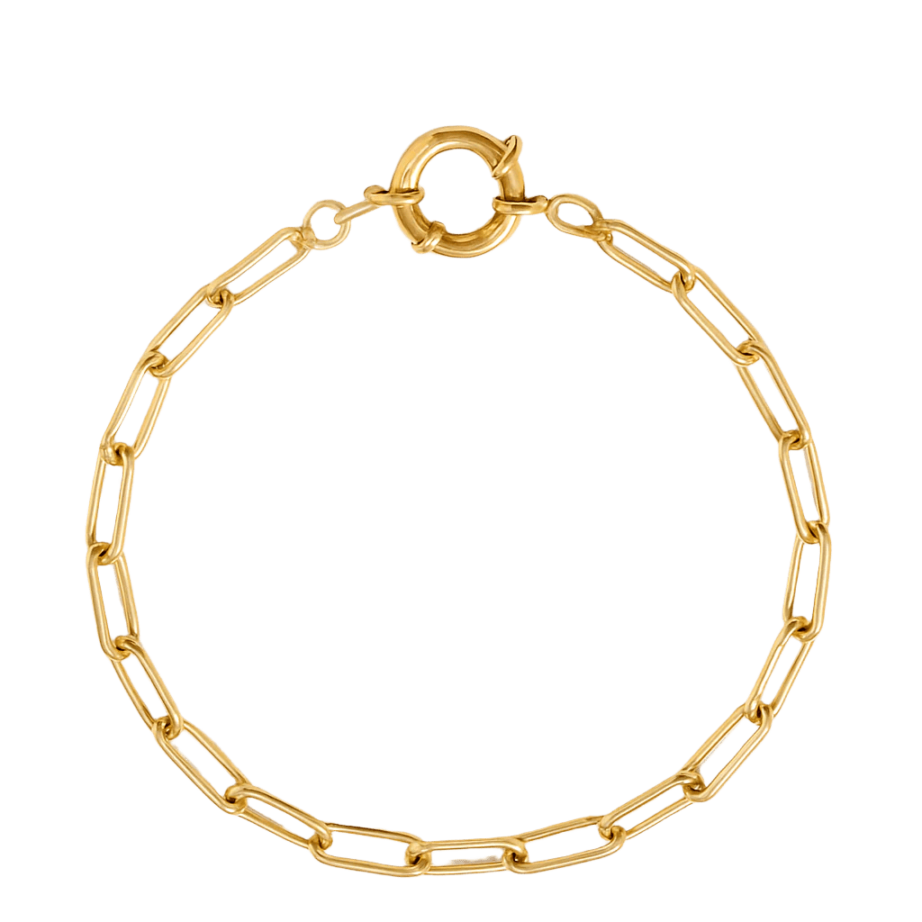 Charm Paperclip Bracelet with Vintage Clasp - Clout Vienna#