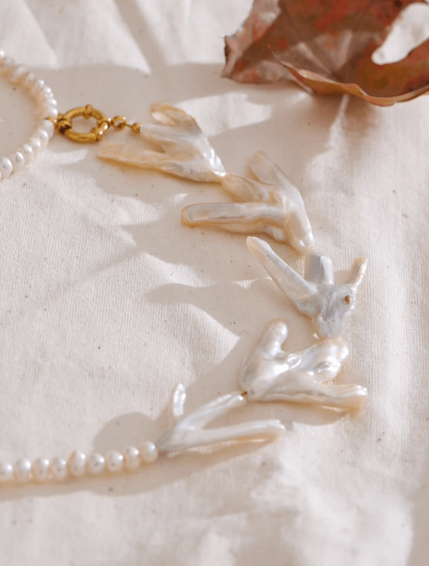 Coral Whispers - Clout Vienna