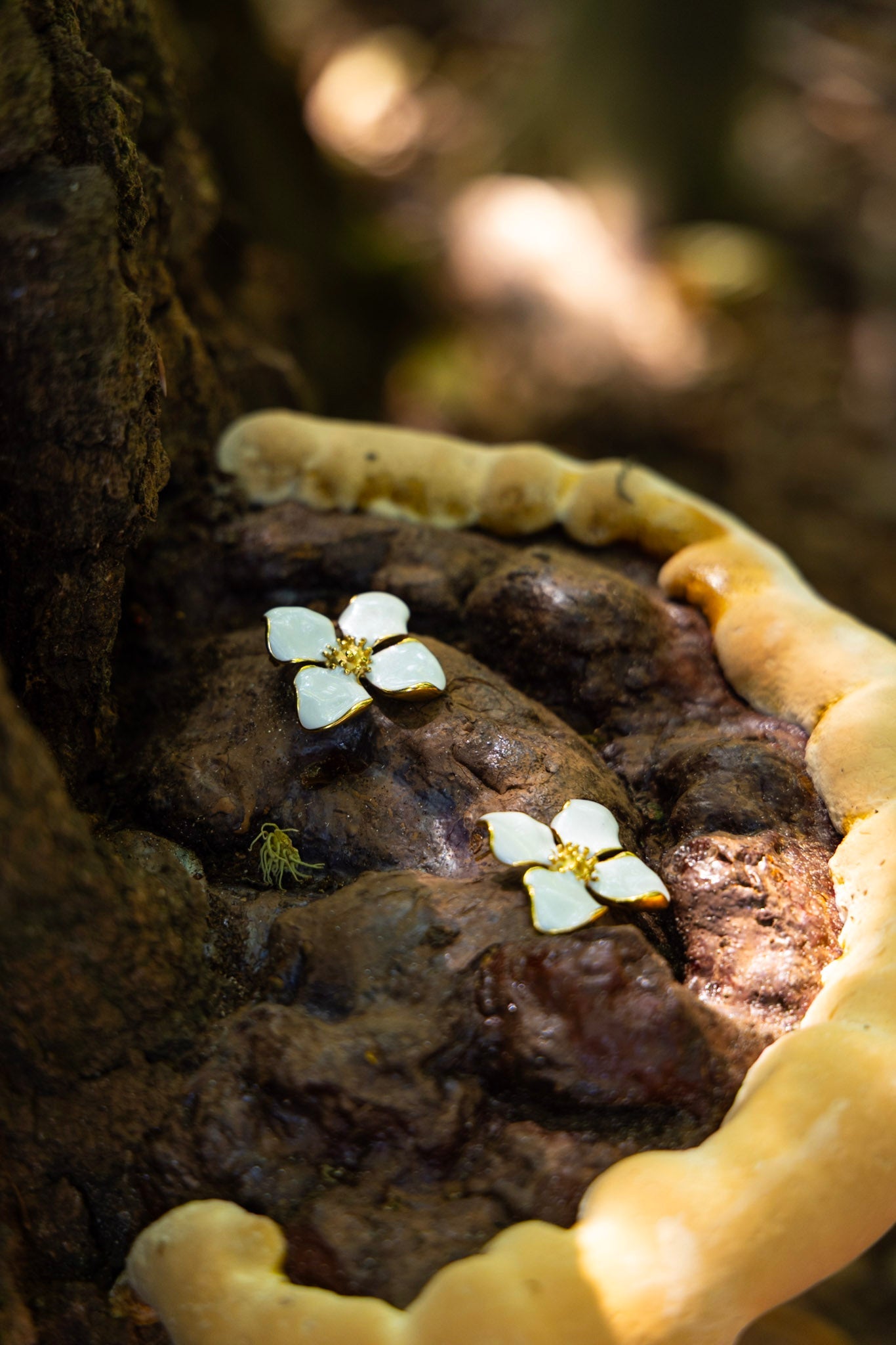 Fleur Blanche - Clout Vienna