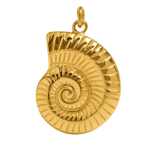 Sharks Eye Muschel - Clout Vienna#