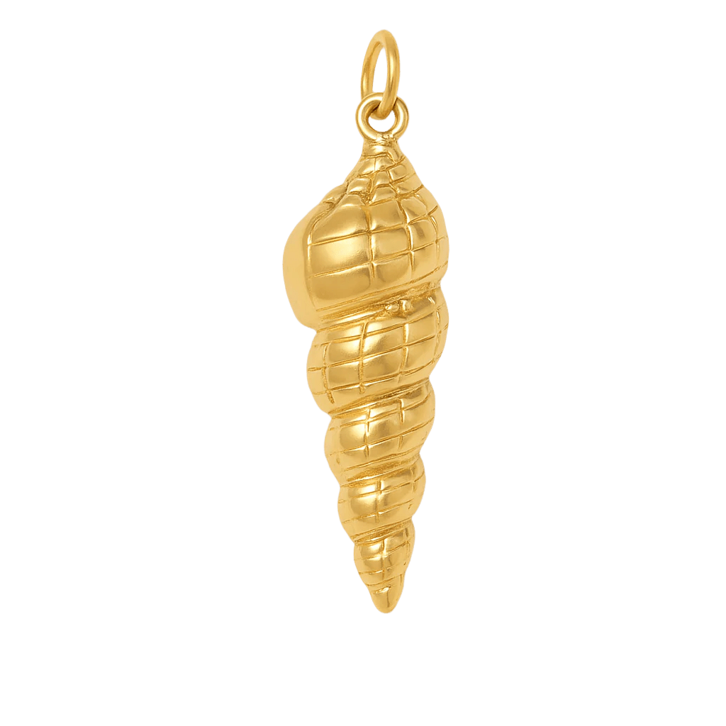 Florida Horse Muschel - Clout Vienna#