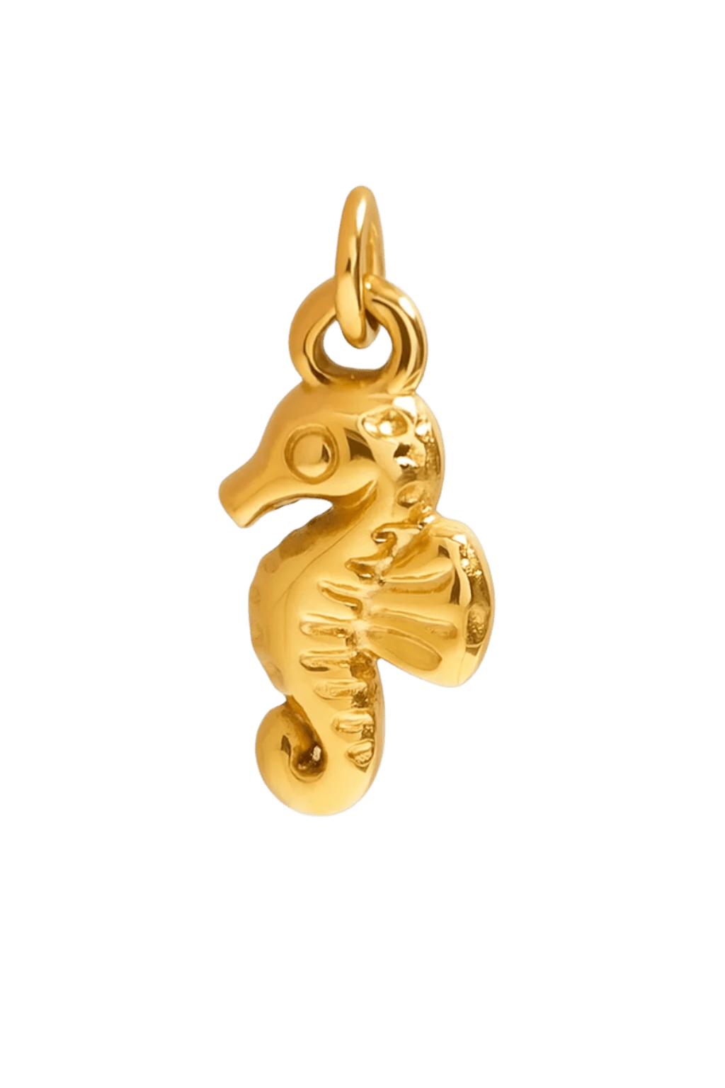 Kleines Seepferdchen - Clout Vienna