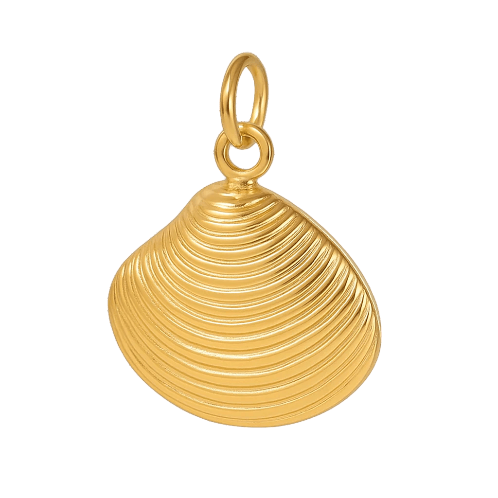 Muschel Sunray Venus - Clout Vienna