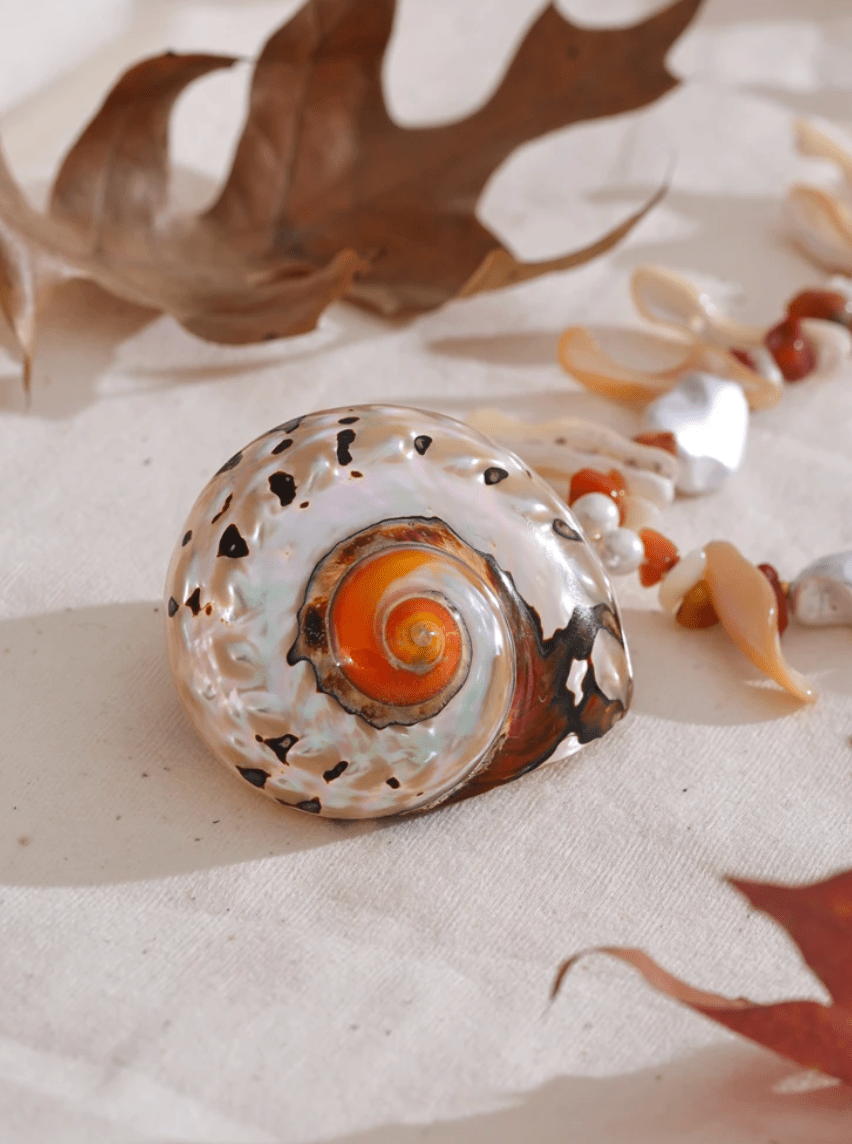 Ocean Relic - Clout Vienna