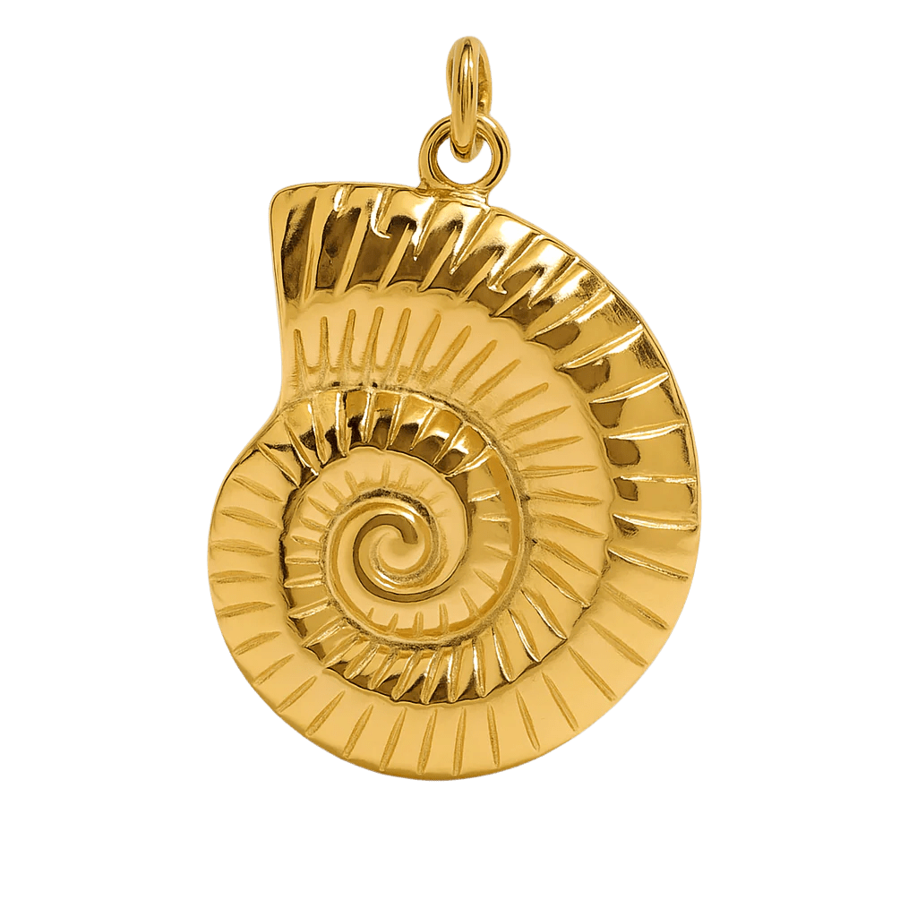 Sharks Eye Muschel - Clout Vienna#