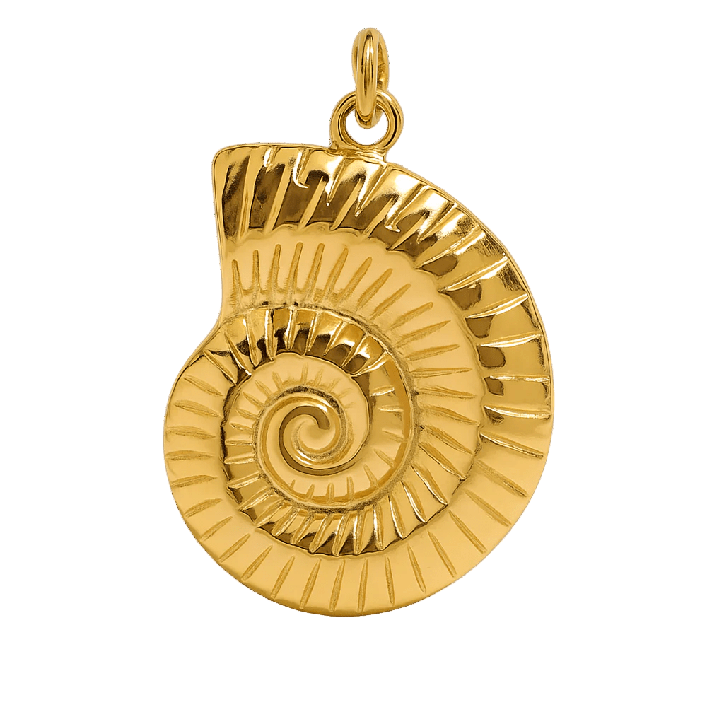 Sharks Eye Muschel - Clout Vienna