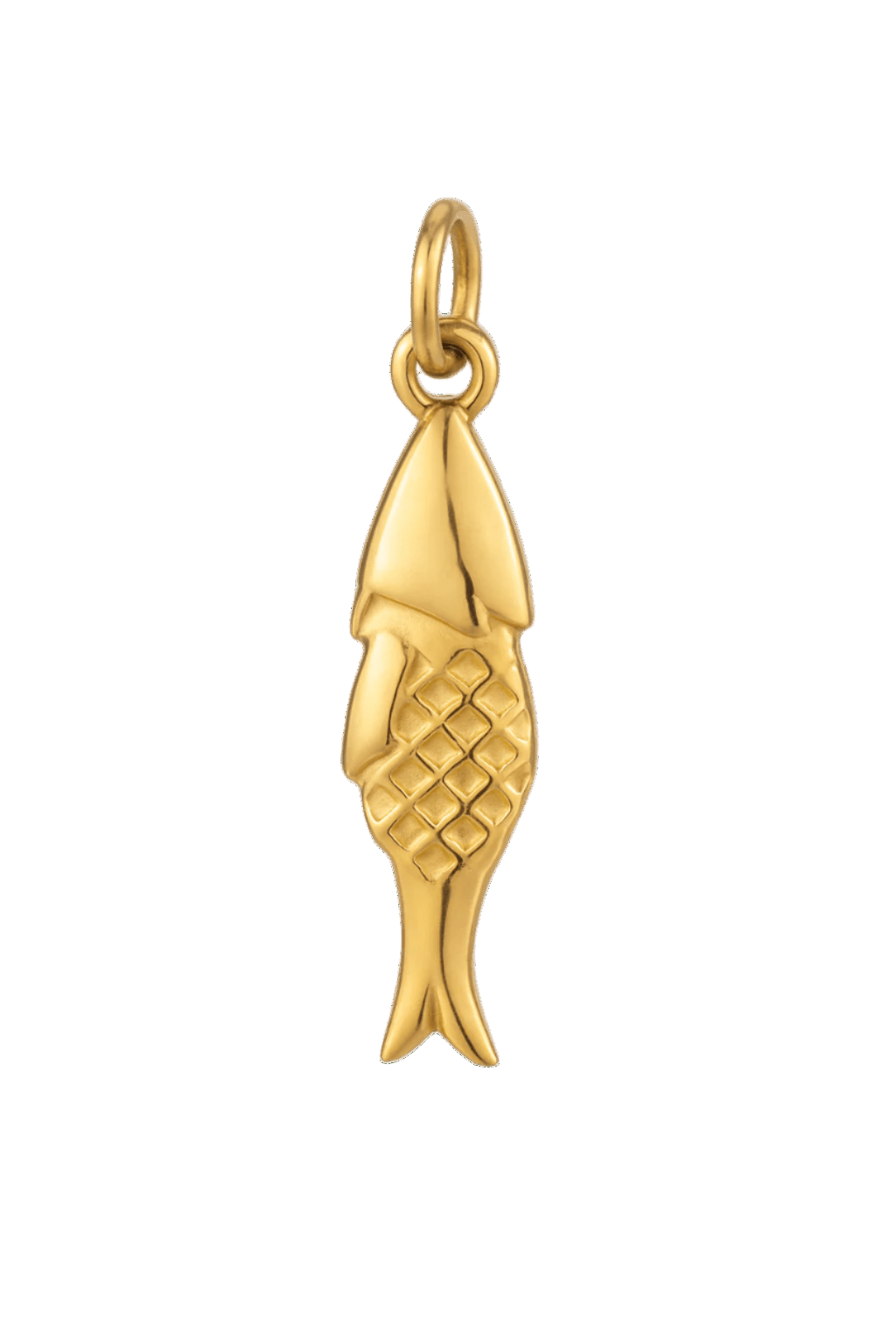 small fish details - Clout Vienna